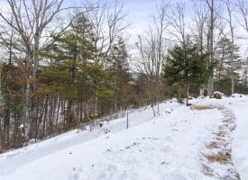 346 Mystic Mountain Blvd, Delray, WV 26714