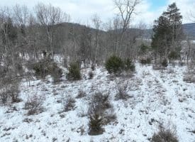7.02 Ac Springfield Pike, Springfield, WV 26763