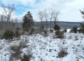 7.02 Ac Springfield Pike, Springfield, WV 26763