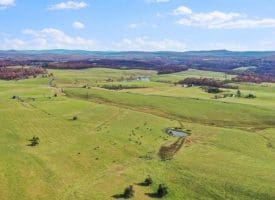 490.25 Ac Ford Hill Road, Augusta, WV 26704