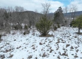 7.02 Ac Springfield Pike, Springfield, WV 26763