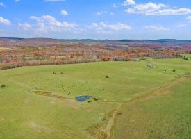 490.25 Ac Ford Hill Road, Augusta, WV 26704