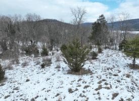 7.02 Ac Springfield Pike, Springfield, WV 26763