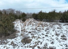 7.02 Ac Springfield Pike, Springfield, WV 26763