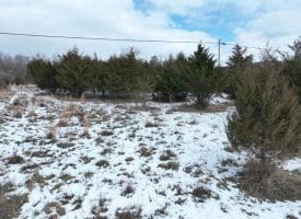 7.02 Ac Springfield Pike, Springfield, WV 26763