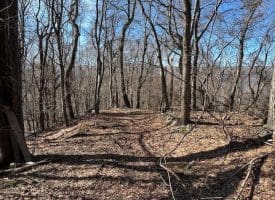 18.08 Ac Bear Ridge Rd, New Creek, WV 26743