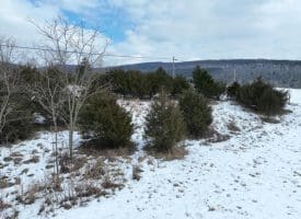 7.02 Ac Springfield Pike, Springfield, WV 26763