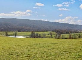 490.25 Ac Ford Hill Road, Augusta, WV 26704