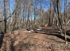 18.08 Ac Bear Ridge Rd, New Creek, WV 26743