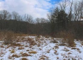 7.02 Ac Springfield Pike, Springfield, WV 26763