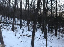 5.50 Ac Lake Ferndale Dr. Springfield, WV 26763