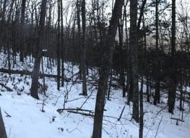 5.50 Ac Lake Ferndale Dr. Springfield, WV 26763