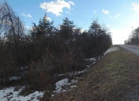 9.39 Ac Bloomery Pike, Augusta, WV 26704