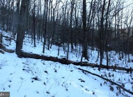 5.50 Ac Lake Ferndale Dr. Springfield, WV 26763