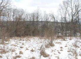 7.02 Ac Springfield Pike, Springfield, WV 26763