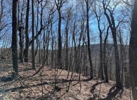 18.08 Ac Bear Ridge Rd, New Creek, WV 26743