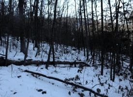 5.50 Ac Lake Ferndale Dr. Springfield, WV 26763