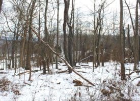 7.02 Ac Springfield Pike, Springfield, WV 26763