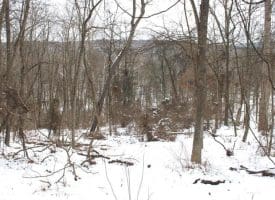 7.02 Ac Springfield Pike, Springfield, WV 26763