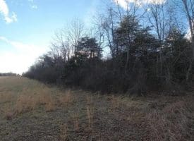 9.39 Ac Bloomery Pike, Augusta, WV 26704