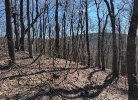 18.08 Ac Bear Ridge Rd, New Creek, WV 26743