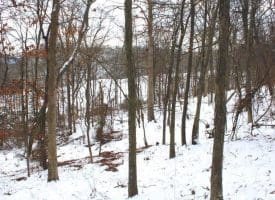 7.02 Ac Springfield Pike, Springfield, WV 26763