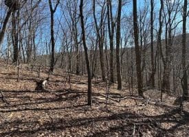 18.08 Ac Bear Ridge Rd, New Creek, WV 26743