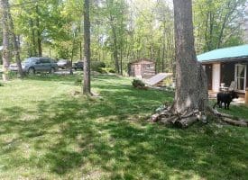 346 Mystic Mountain Blvd, Delray, WV 26714