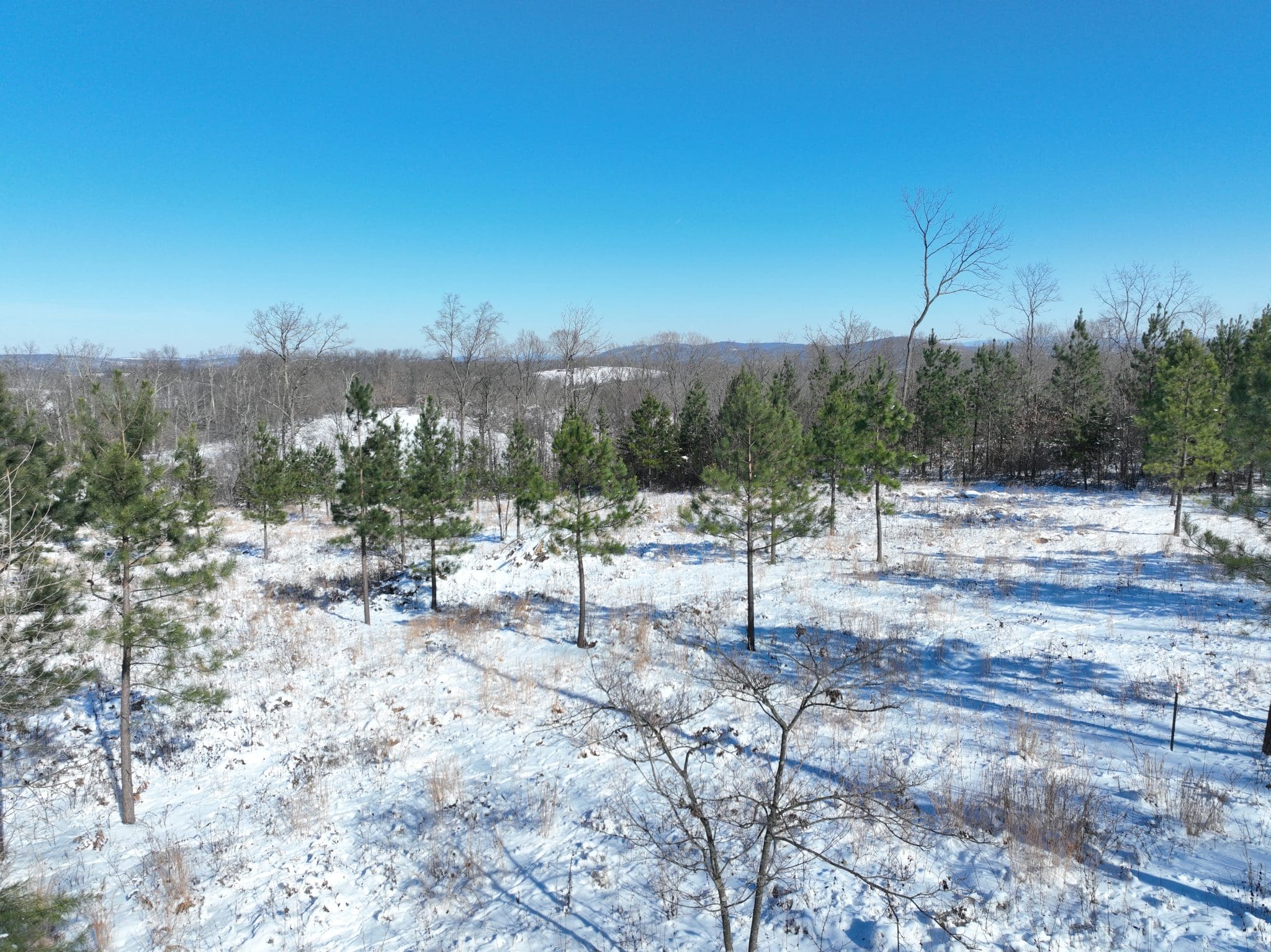 4.771 AC KAITLYN WAY, AUGUSTA, WV 26704