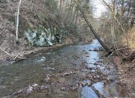 14.46 Acres Northwestern Pike, Shanks, WV 26761