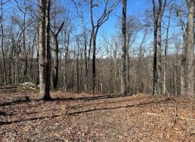 2.08 Acre Lot Deer Path Road Augusta, WV 26704