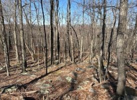 2.08 Acre Lot Deer Path Road Augusta, WV 26704