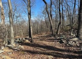 2.08 Acre Lot Deer Path Road Augusta, WV 26704