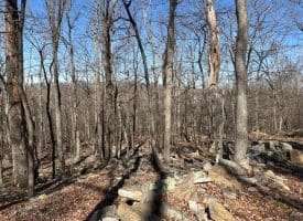 2.08 Acre Lot Deer Path Road Augusta, WV 26704