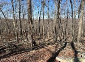 2.08 Acre Lot Deer Path Road Augusta, WV 26704