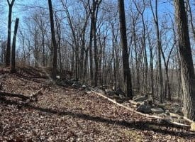 2.08 Acre Lot Deer Path Road Augusta, WV 26704