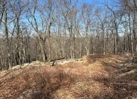 2.08 Acre Lot Deer Path Road Augusta, WV 26704