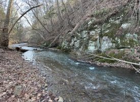 14.46 Acres Northwestern Pike, Shanks, WV 26761