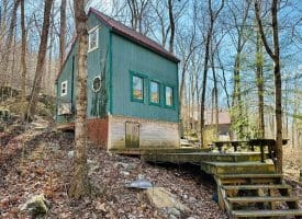 556 Warsaw Drive Capon Bridge, WV 26711