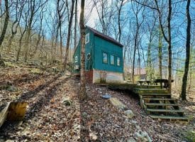 556 Warsaw Drive Capon Bridge, WV 26711