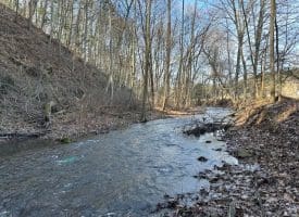 14.46 Acres Northwestern Pike, Shanks, WV 26761