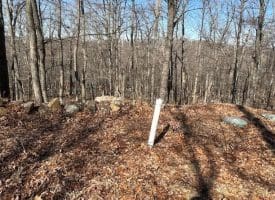 2.08 Acre Lot Deer Path Road Augusta, WV 26704