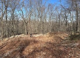 2.08 Acre Lot Deer Path Road Augusta, WV 26704