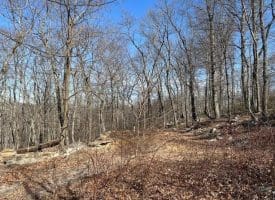 2.08 Acre Lot Deer Path Road Augusta, WV 26704