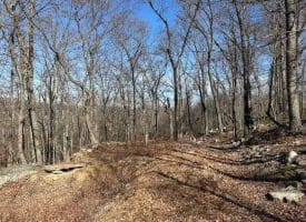 2.08 Acre Lot Deer Path Road Augusta, WV 26704