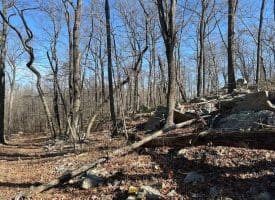 2.08 Acre Lot Deer Path Road Augusta, WV 26704