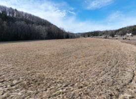 14.46 Acres Northwestern Pike, Shanks, WV 26761