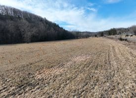 14.46 Acres Northwestern Pike, Shanks, WV 26761