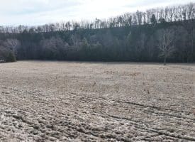 14.46 Acres Northwestern Pike, Shanks, WV 26761