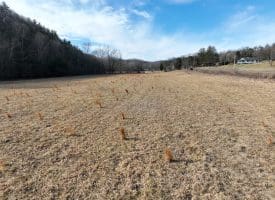 14.46 Acres Northwestern Pike, Shanks, WV 26761